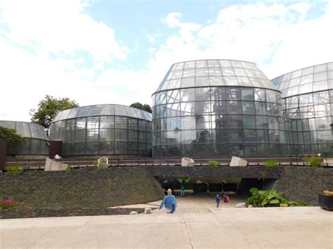 Jardín Botánico de Bogotá - MARAVILLAS DE ENGATIVA