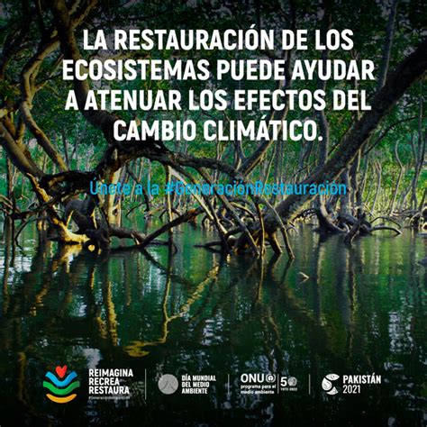 Día Mundial del Medio Ambiente Generación Restauración Reimagina