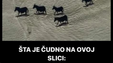 ŠTA JE ČUDNO NA OVOJ SLICI Ako vidite crne konje bolje da odmah