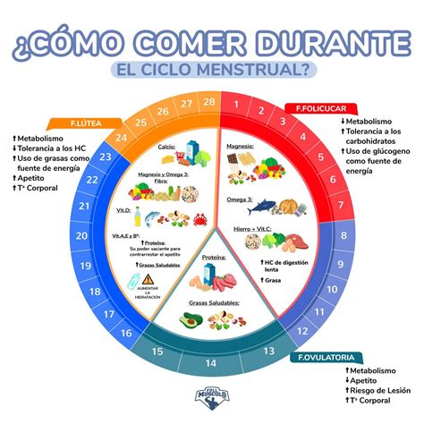 ¿cómo Comer Durante El Ciclo Menstrual • Fullmusculo Ciclo Menstrual Ciclo Hormonal