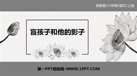 《盲孩子和他的影子》ppt教学课件 第一ppt