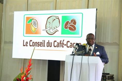 C Te D Ivoire Le Conseil Du Caf Cacao D Voile Sa Nouvelle Identit