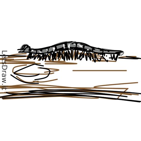 how to draw a centipede