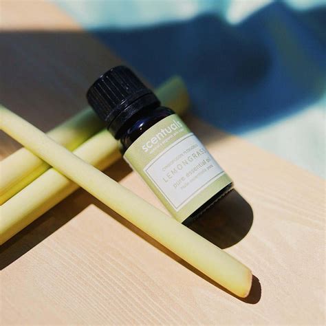 Lemongrass Essential Oil Scentuals Natural And Organic Skin Care