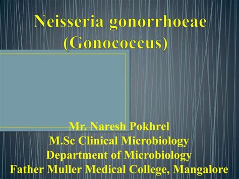 Gonococci | PPT