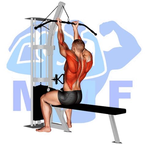 Close Grip Lat Pulldown Muscle Worked How To Do Benefits Off