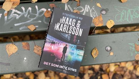 Recension Det Som Inte Syns Av Benny Haag Och Lennart Karlsson