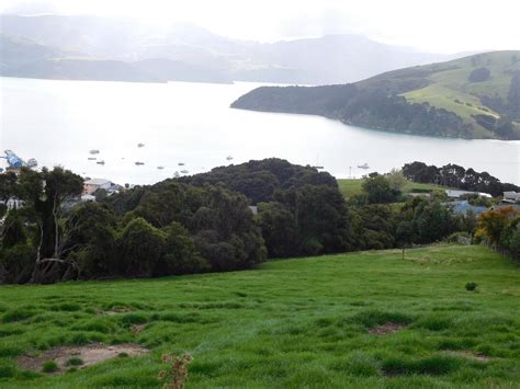 THE 15 BEST Things to Do in Akaroa - 2022 (with Photos) - Tripadvisor