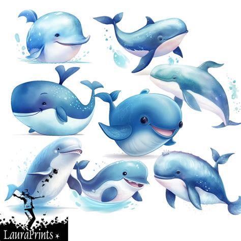 Cute Clipart Whale 8 Png, Clipart , Digital Download - Etsy