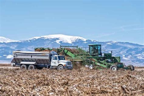 Mike Mitchell Farm Alamosa News Mike Mitchell Farms Shines In