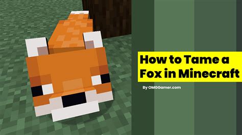 How To Tame A Fox In Minecraft [2024] White And Loyal Fox