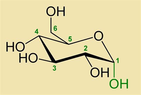 Funci N De La Glucosa