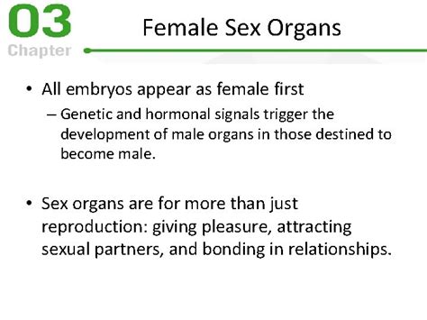 Chapters 3 And 4 Female Sexual Anatomy And