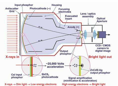 Fluoroscopy Radiology Key