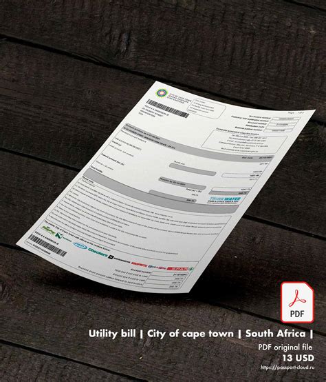 Utility bill City of cape town South Africa PDF Template — buy editable