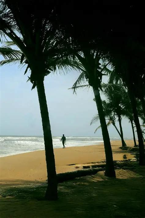 Kolavi Beach At Payyoli Kozhikode Kerala Tourism