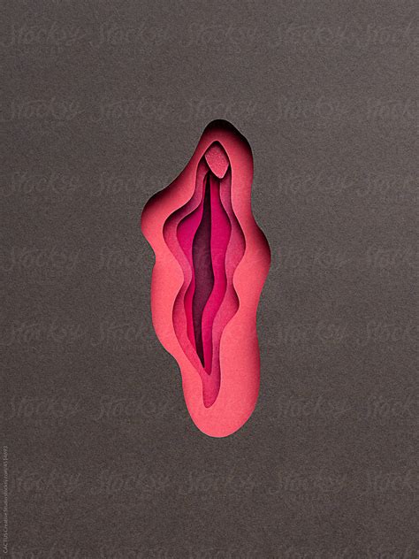 Vagina Shape By Stocksy Contributor CACTUS Creative Studio Stocksy