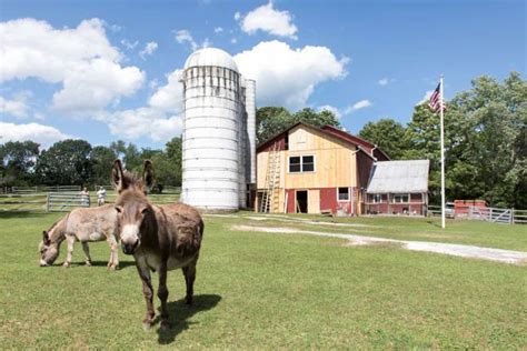 Renovating this old barn