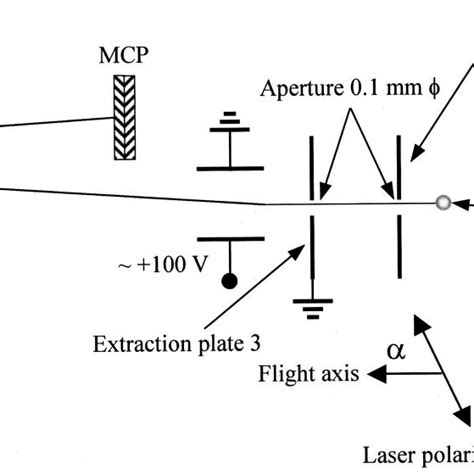 Schematic Of The Time Of Flight Mass Spectrometer The Extraction