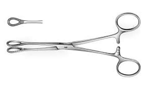 Foerster Sponge Forceps Uses Informacionpublica Svet Gob Gt