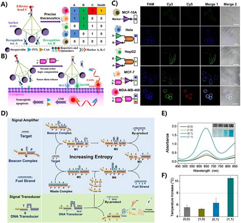 Leveraging Aptamer Based Dna Nanotechnology For Bioanalysis And Cancer