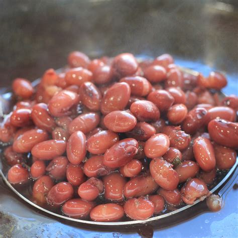 Pressure Cooker Beans - TominationTime