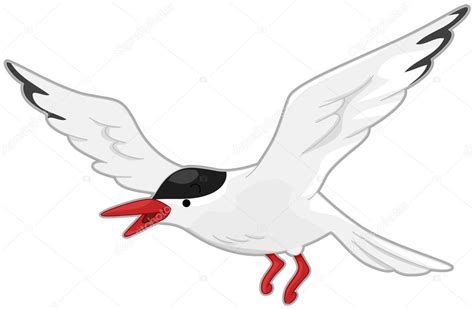 Arctic Tern — Stock Vector © Lenmdp 3946495