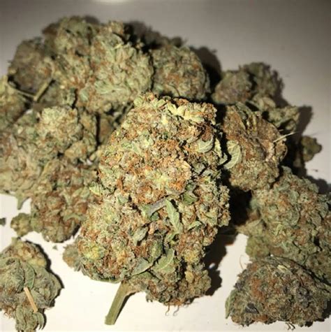 Stardawg Aka Stardog Weed Strain Information Leafly