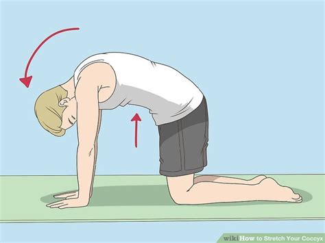 How to Stretch Your Coccyx - wikiHow