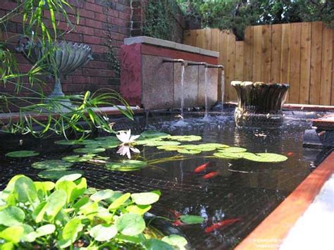 Small Fish Pond Design Ideas