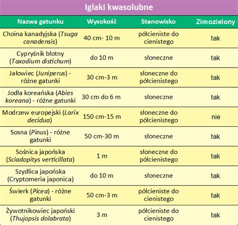 Ro Liny Kwasolubne W Ogrodzie Co Posadzi Na Kwa Nej Glebie