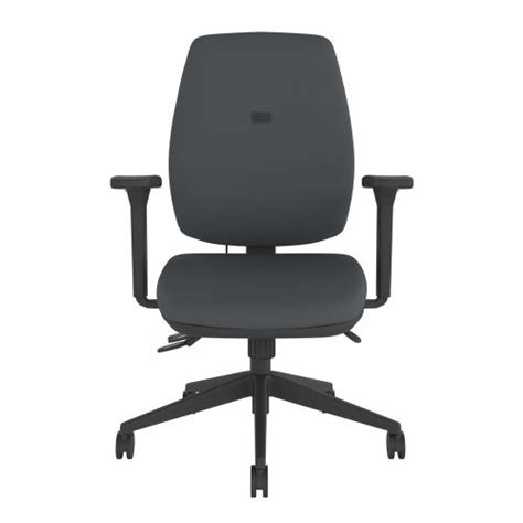 Homeworker Plus Grey Ergonomic Chair Posturite