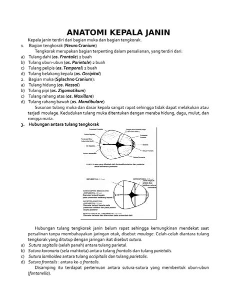 Anatomi Kepala Janin Yah Anatomi Kepala Janin Kepala Janin Terdiri