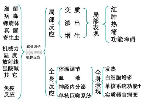 病理学——炎症2word文档在线阅读与下载无忧文档