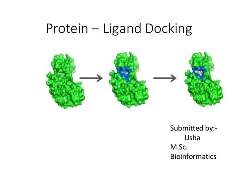 Protein Ligand Docking