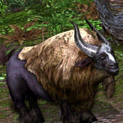 Lotro Treasure Bugan Event Guide Fibrojedi