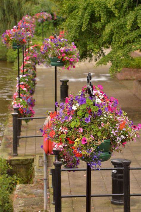 Bridgnorths Blooming Good Baskets Renewed For Another Year Express