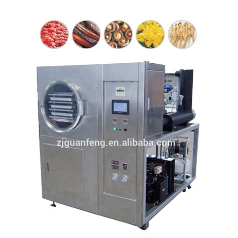 Automatic Lab Vacuum Freeze Dryer Mini Medicine Freeze Drying Machine