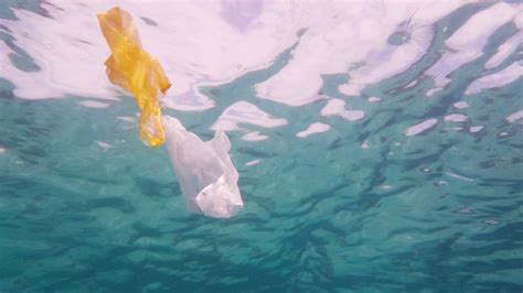 Plastic Pollution In Ocean Ecological Stock Footage SBV-347732434 ...