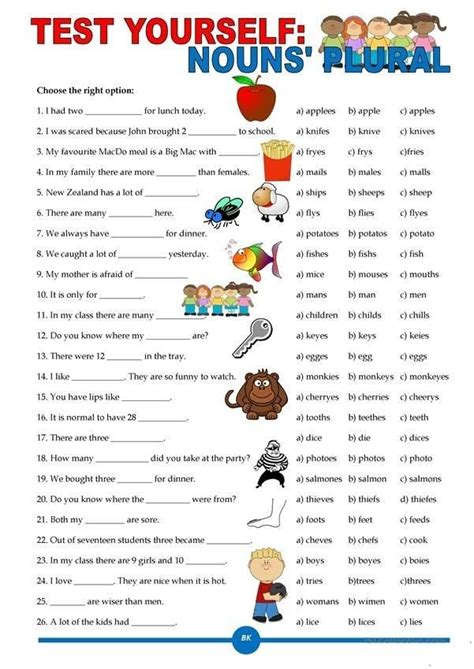 Singular And Plurals Exercises