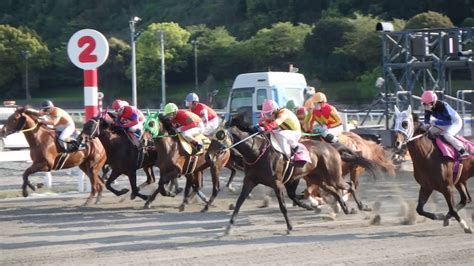 高知競馬 2018年4月8日第4r 発走直後 Youtube