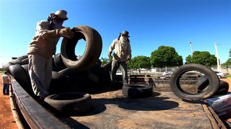 Mutirão contra a dengue recolhe 12 mil pneus em Aparecida de Goiânia