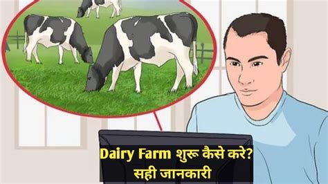 Dairy Farm शुरू करने का सही तरीका How To Start Dairy Farm Cow Dairy Farm Business Plan In