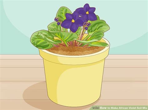 Easy Ways To Make African Violet Soil Mix Steps