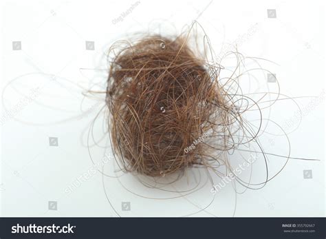 Fallen Lock Of Hair . Tuft Of Hair On A White Background Not Isolated ...