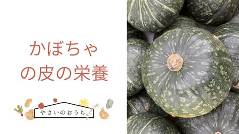 かぼちゃの皮の栄養素 色の違いや種やワタにも効能あり！ 野菜のおうち。常温と冷凍保存方法解説