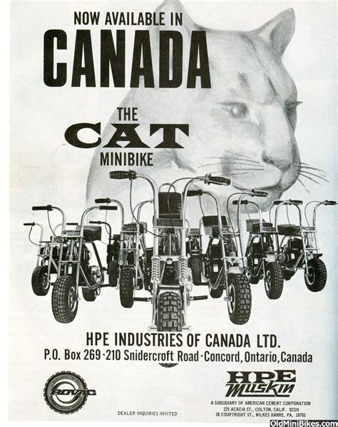 Hpe Muskin Cat Ad 1970