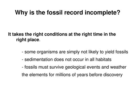 Arriba 33+ imagen why fossil record is incomplete - Abzlocal.mx