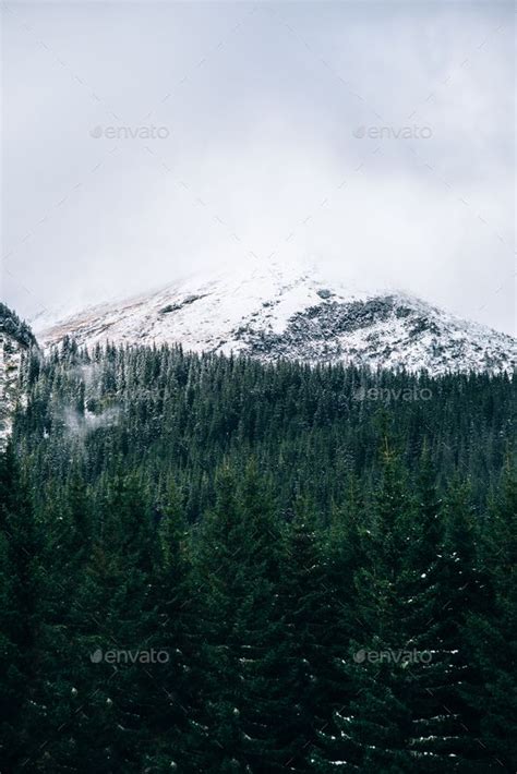 winter landscape in the Carpathian mountains | Winter landscape ...