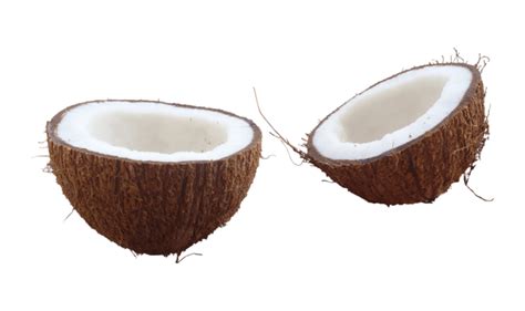 Coconut Png Pngs For Free Download